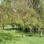 In Near Castle Ruins *