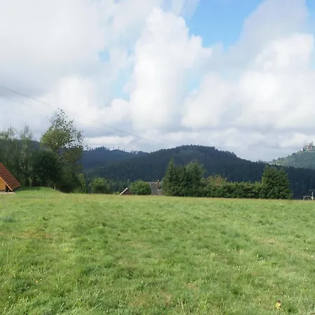 Alpehytte In Near Castle Ruins *