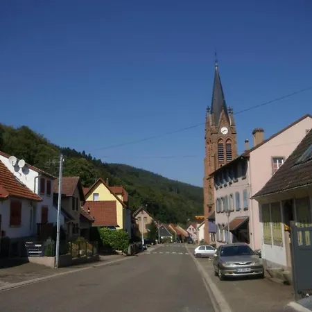 In Near Castle Ruins Alpehytte Dabo