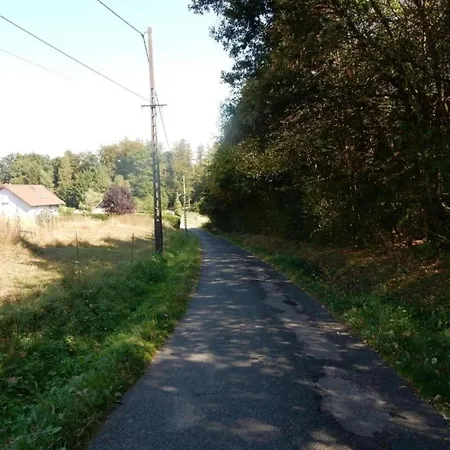 Alpehytte In Near Castle Ruins Dabo