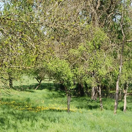 In Near Castle Ruins *