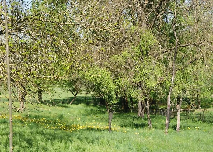 In Near Castle Ruins *